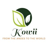 Kowii logo - Similar company to Kowi Kowi Srl
