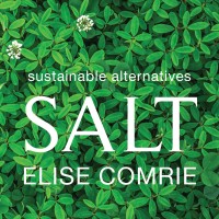 SALT Studios logo - Similar company to Bonjour.Fun