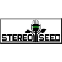 StereoSeed logo - Similar company to Brainrot Songs Limited