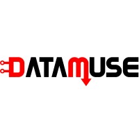 DataMuse Africa logo - Similar company to Datamuse Llc