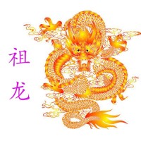 祖龙科技（深圳）有限公司 logo - Similar company to Goodtouch