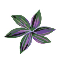 Cecilia Scolaro logo - Similar company to Design Reparations