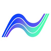 Nerve Capital logo - Similar company to Solvigo Solutions