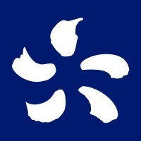 Edison Next Spain logo - Similar company to Cad&Lan
