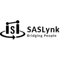 SASLynk logo - Similar company to Banyon Data Systems, Inc