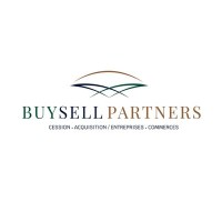 Buysell Partners logo - Similar company to Cepp