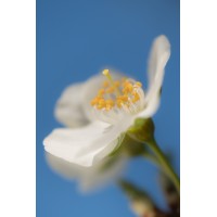 Moetwil en van Dijk Fotografie logo - Similar company to Moetwil En Van Dijk