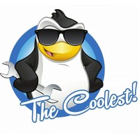 The Coolest - Heating and Air Conditioning logo - Similar company to Dg Roofing & Construction Llc