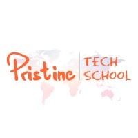 Pristine Tech School logo - Similar company to Web Solution Key