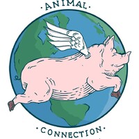 Animal Connection