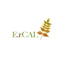 Excal Limited logo - Similar company to Excal Design