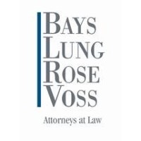 Bays Lung Rose & Voss logo - Similar company to Monarch Development