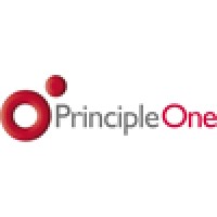 Principle One logo - Similar company to Zoom Visual