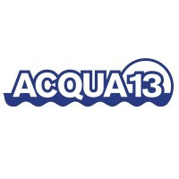 Acqua13 logo - Similar company to Aquamore