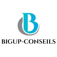 BIGUP-CONSEILS logo - Similar company to It Concept