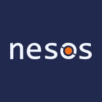 Nesos a.s. logo - Similar company to Logaritma S.R.O.
