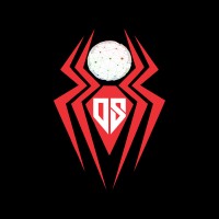 Digit Spider logo - Similar company to Trainbeyond