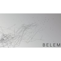 BELEM logo - Similar company to Woleet