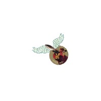 Flying Bullet Pictures logo - Similar company to Multimediainformatics Pvt Ltd