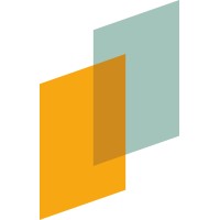 Alternative DSI logo - Similar company to Digitalisim