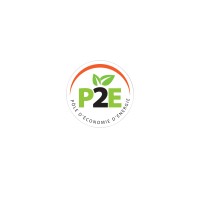 P2E logo - Similar company to Pee