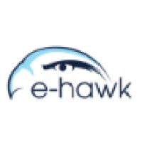 E-HAWK logo - Similar company to Clickso
