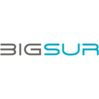 BigSur Partners logo - Similar company to Grovepeak