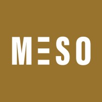 Meso logo - Similar company to Falkbuilt Ltd.