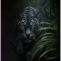Black Tiger Advertising Agency logo - Similar company to Ovicts