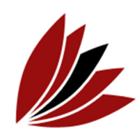 DigitPro Studio logo - Similar company to Design Decisions