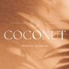 Coconut Premium Interiors logo - Similar company to Ayda International Awards