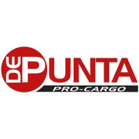 DePunta Pro-Cargo logo - Similar company to Circulo Laser