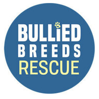 Bullied Breeds Rescue logo - Similar company to A.B.L.E. - Artists Breaking Limits & Expectations