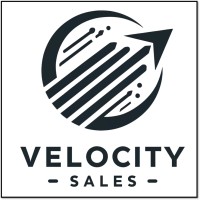 VelocitySales logo - Similar company to Pure Process Technology, Llc