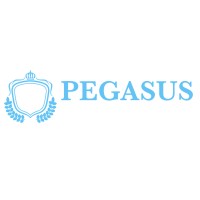 Pegasus Transfers logo - Similar company to Top Resource Solutions