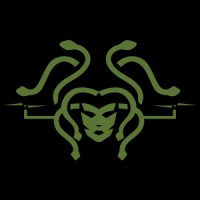 Gorgoneye Ltd logo - Similar company to Geospatial Intelligence Technology Ltd