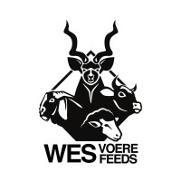 WES Enterprises - Home of Boskos logo - Similar company to Osma, Inc