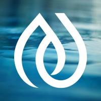 De Stroomversnellers logo - Similar company to Smart Rivers
