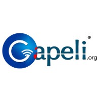 GAPELI logo - Similar company to Uchop