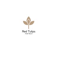 Red Tulips