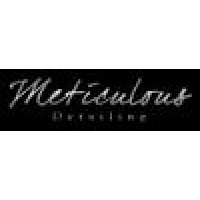 Meticulous Auto Detailing