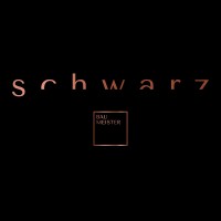 Baumeister Schwarz GmbH logo - Similar company to Lvr Gmbh