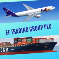 EF Trading Group PLC logo - Similar company to Ef Trading Corp