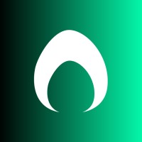 Digital Nest logo - Similar company to Ib Masters
