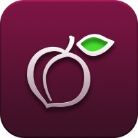 iPlum logo - Similar company to Ringrx