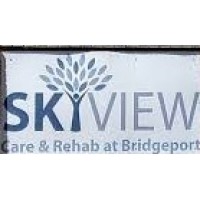 SKYVIEW AT BRIDGEPORT logo - Similar company to Gestetner Group