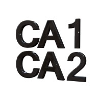 CA1 CA2 logo - Similar company to Nu Swim