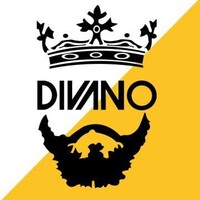 divano stores logo - Similar company to Toogl