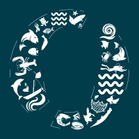 OFISHERIES logo - Similar company to Amaq Al Bahair Al Wataniah Trad