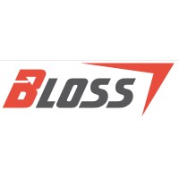 Bloss-Systems GmbH logo - Similar company to Just Authentic Gmbh